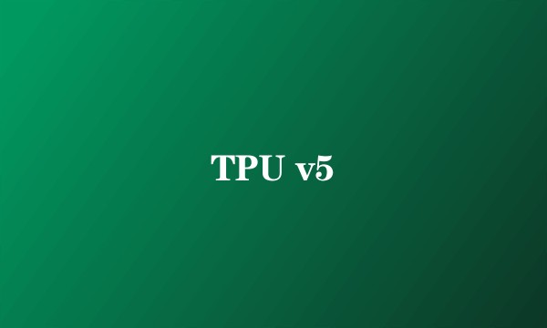 TPU v5