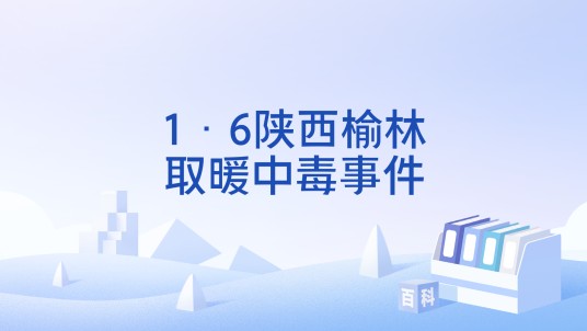 1·6陕西榆林取暖中毒事件