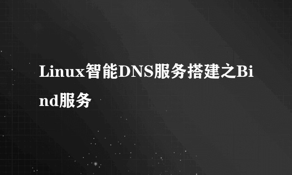 Linux智能DNS服务搭建之Bind服务