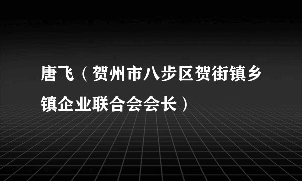 唐飞(贺州市八步区贺街镇乡镇企业联合会会长)