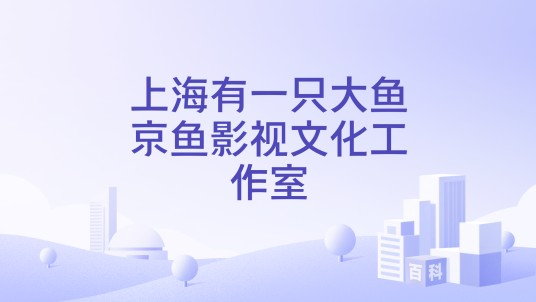 上海有一只大鱼京鱼影视文化工作室