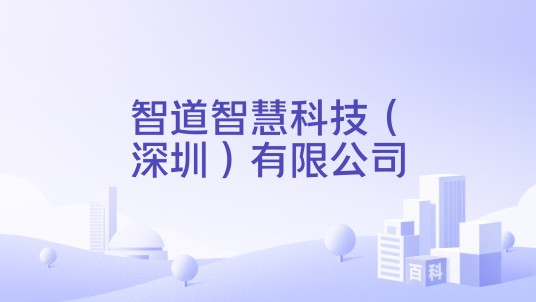智道智慧科技（深圳）有限公司