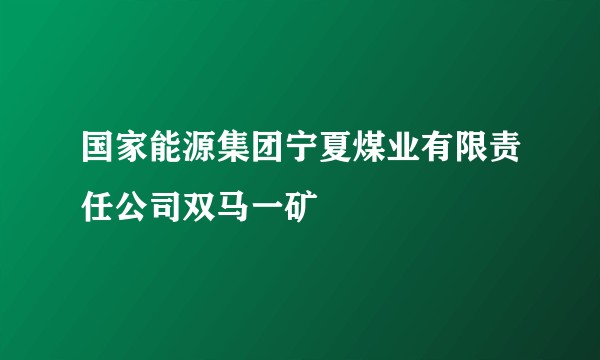国家能源集团宁夏煤业有限责任公司双马一矿