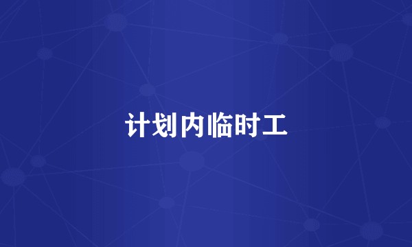 计划内临时工
