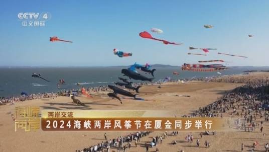 海峡两岸风筝节