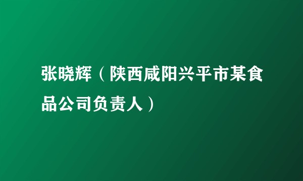 张晓辉（陕西咸阳兴平市某食品公司负责人）