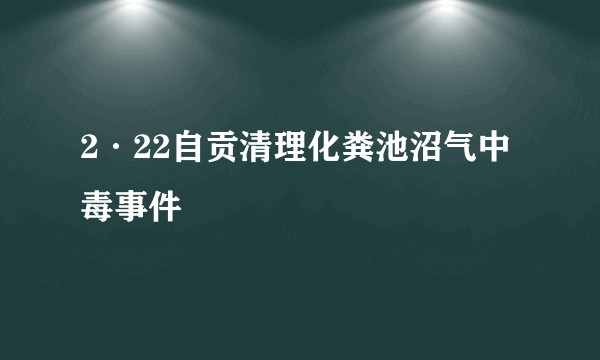 2·22自贡清理化粪池沼气中毒事件