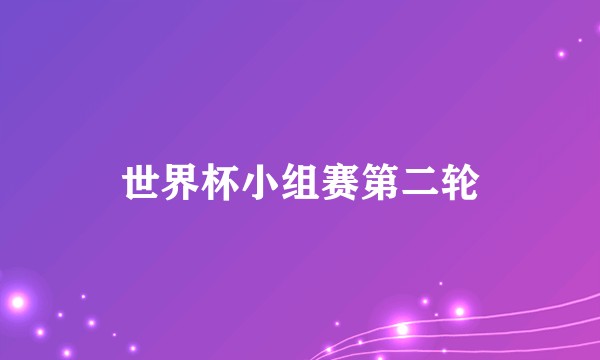 世界杯小组赛第二轮