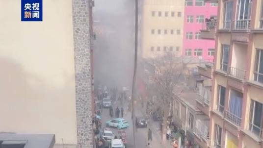1·19阿富汗首都爆炸事件