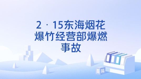 2·15东海烟花爆竹经营部爆燃事故