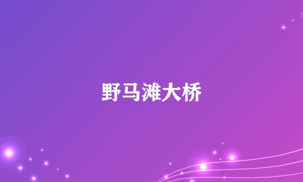 野马滩大桥