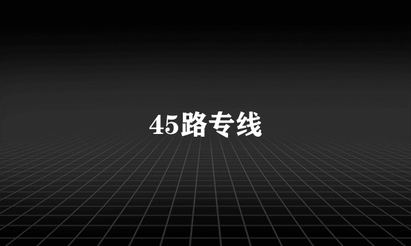 45路专线