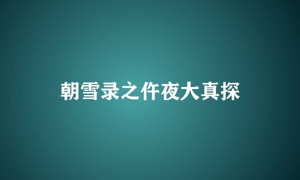 朝雪录之仵夜大真探