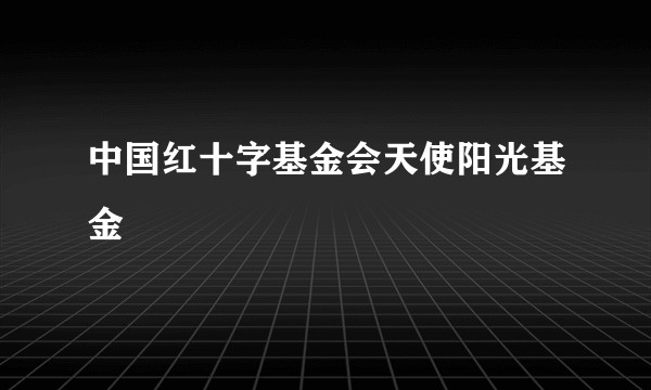 中国红十字基金会天使阳光基金