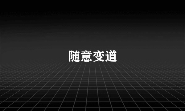 随意变道