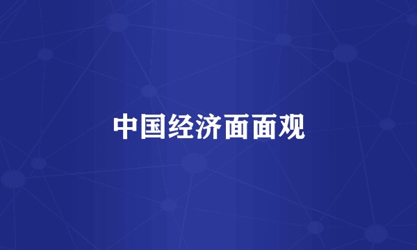 中国经济面面观