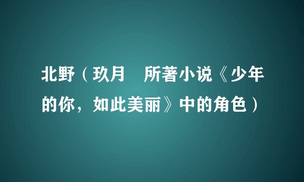 北野（玖月晞所著小说《少年的你，如此美丽》中的角色）