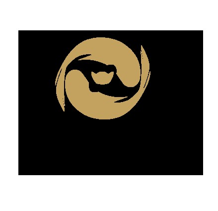 中汇融鑫资产管理有限公司