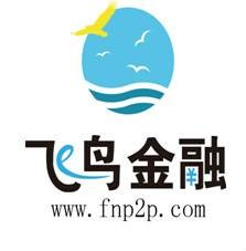 飞鸟金融