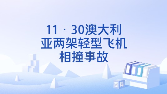 11·30澳大利亚两架轻型飞机相撞事故