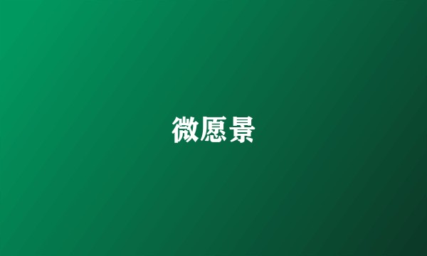 微愿景