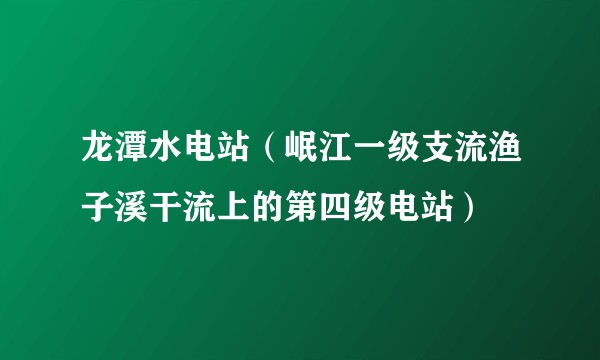 龙潭水电站(岷江一级支流渔子溪干流上的第四级电站)