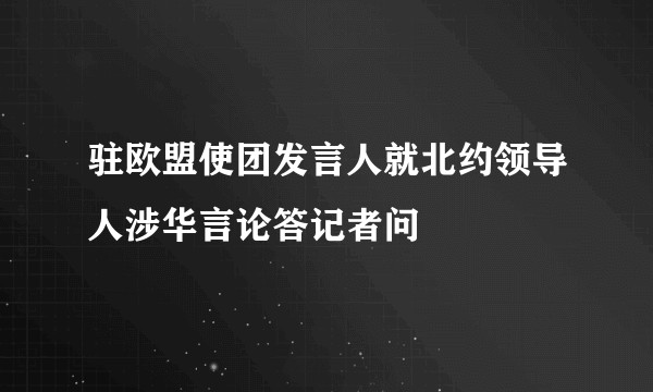 驻欧盟使团发言人就北约领导人涉华言论答记者问