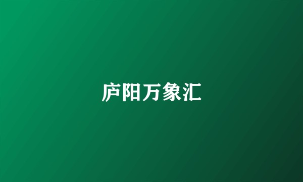 庐阳万象汇