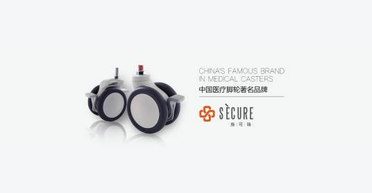 福建施可瑞医疗科技股份有限公司