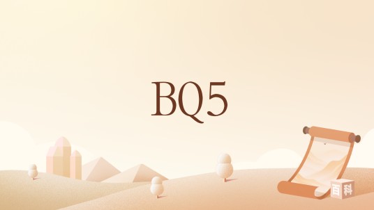 BQ5(网络用语,指与配偶的即时通讯互动)
