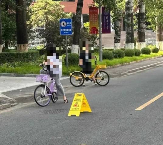 6·15北京高校女教授被树砸身亡事故