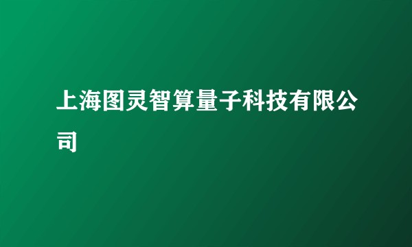 上海图灵智算量子科技有限公司