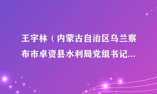 王宇林（内蒙古自治区乌兰察布市卓资县水利局党组书记、局长、四级调研员）