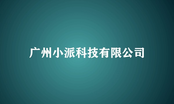 广州小派科技有限公司