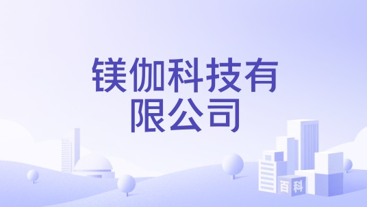 镁伽科技有限公司