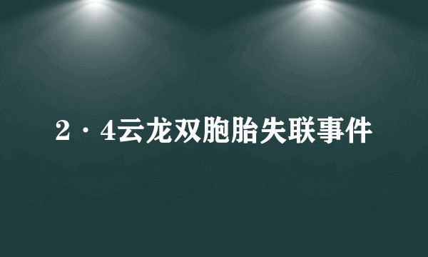 2·4云龙双胞胎失联事件