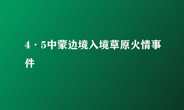 4·5中蒙边境入境草原火情事件
