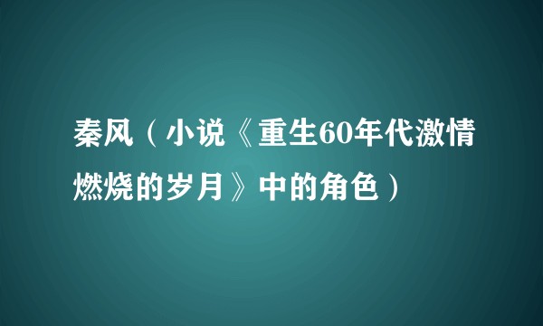 秦风（小说《重生60年代激情燃烧的岁月》中的角色）
