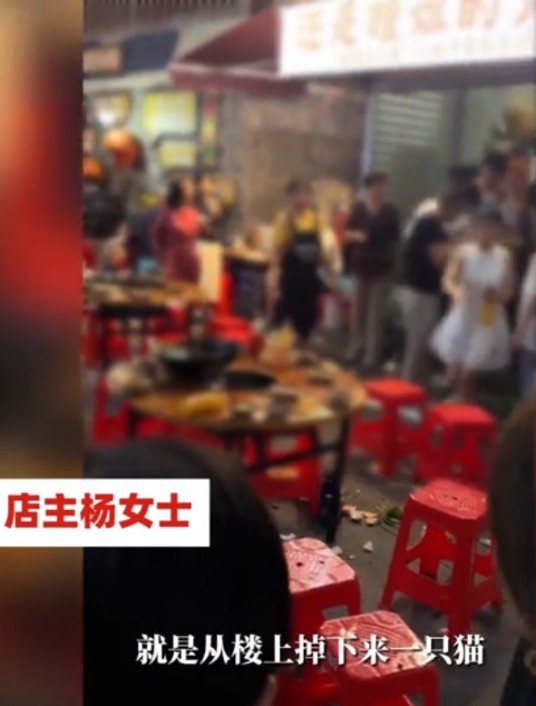 5·2重庆猫咪掉进火锅事件