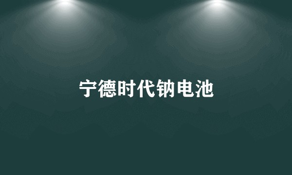 宁德时代钠电池