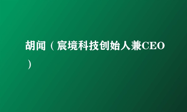 胡闻（宸境科技创始人兼CEO）