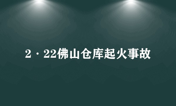 2·22佛山仓库起火事故