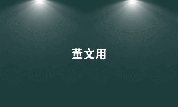 董文用