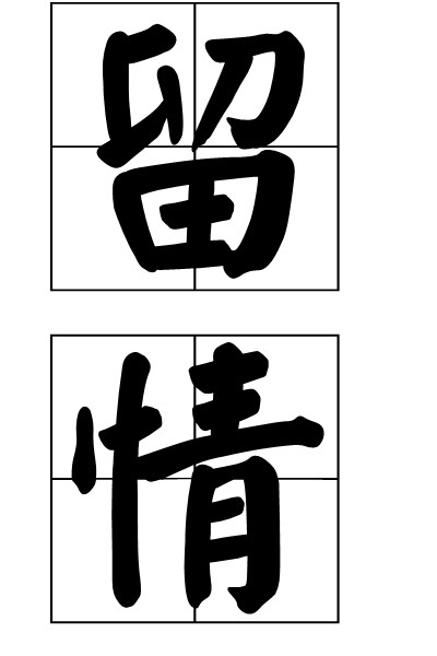 留情（汉语词语）