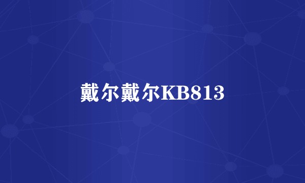 戴尔戴尔KB813