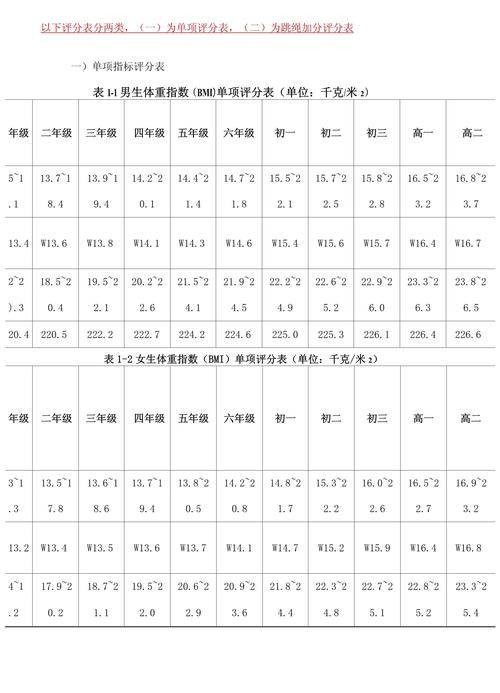 学生体质健康测试