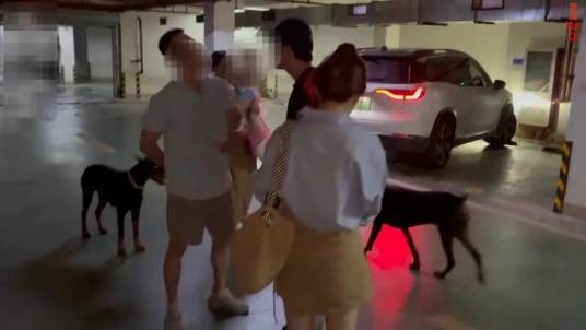 7·18丹阳两杜宾犬没拴绳引口角事件