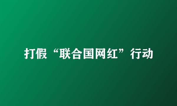 打假“联合国网红”行动