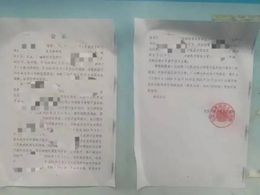 泸州女子怀孕“逃避坐牢”事件