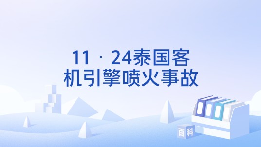 11·24泰国客机引擎喷火事故
